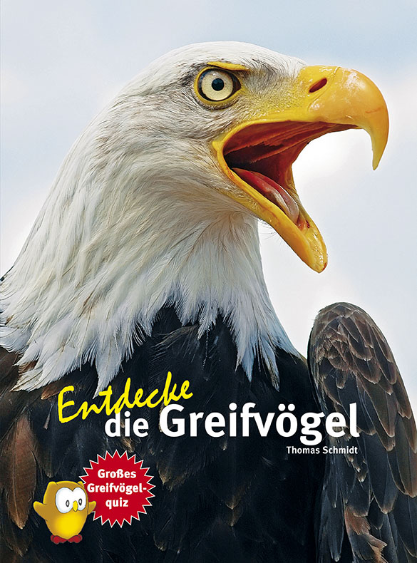 Entdecke die Greifvoegel