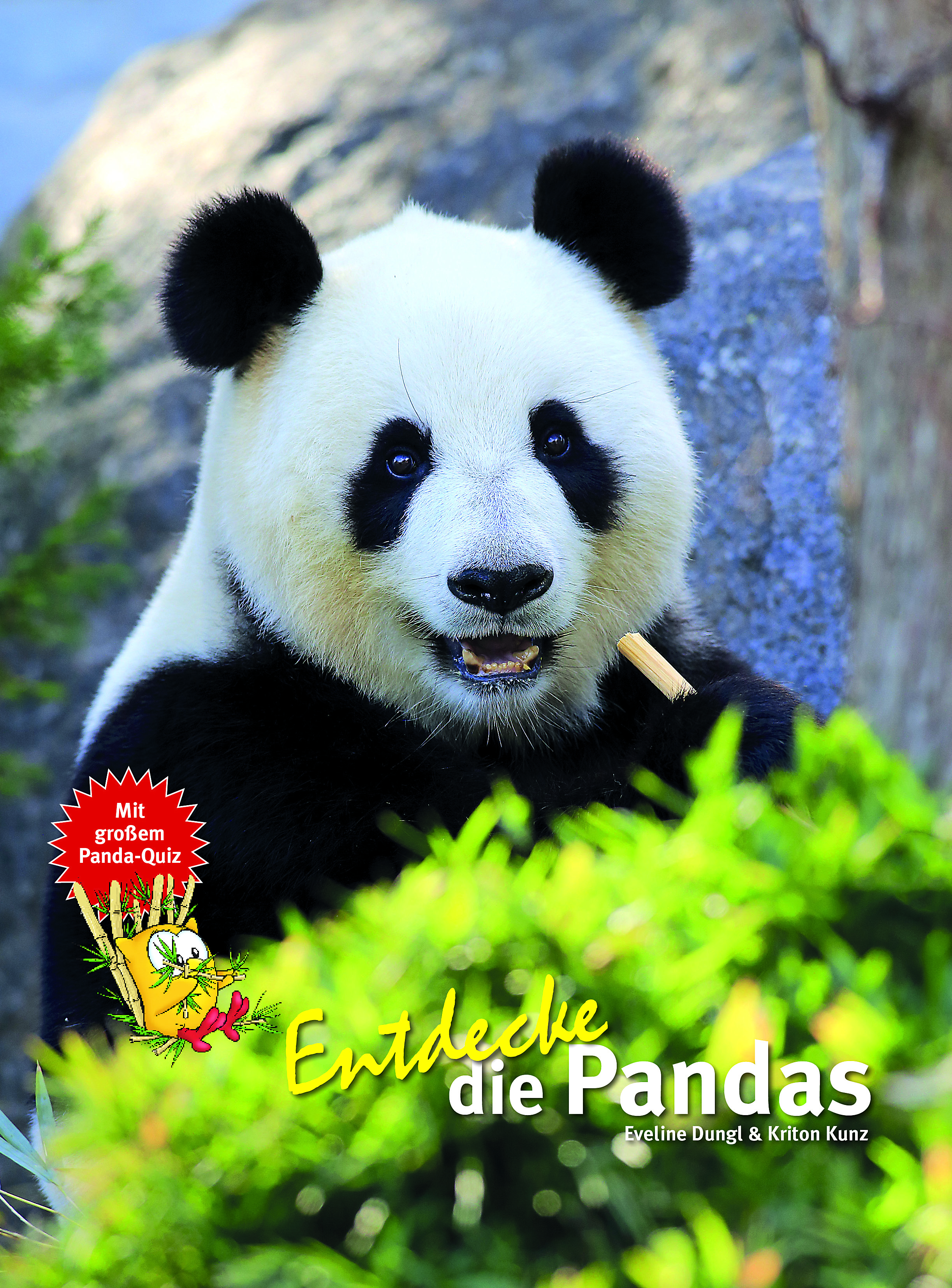 zum Buch